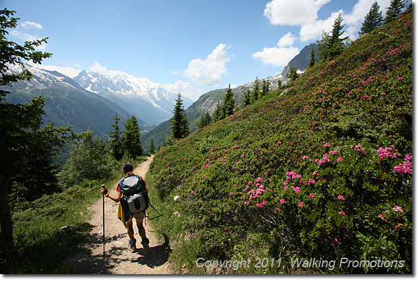 Tour de Mont Blanc, Col de la Forclaz - Col de Balme - Tre-Le-Champ